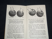 1940 BETTER BOWLING HOW IT'S DONE BOOK - 13TH EDITION - J 8651