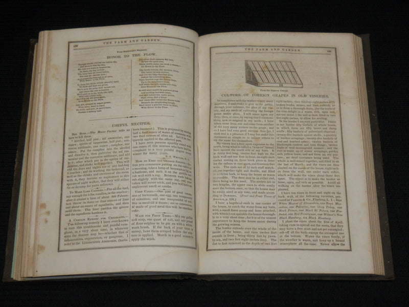 1853 THE FARM AND GARDEN MAGAZINE BOUND VOLUME - NICE ILLUSTRATIONS - KD 7397