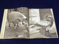 1964 ANIMAL LANGUAGE BOOK B JULIAN HUXLEY + RECORD BY LUDWIG KOCH - KD 3486H