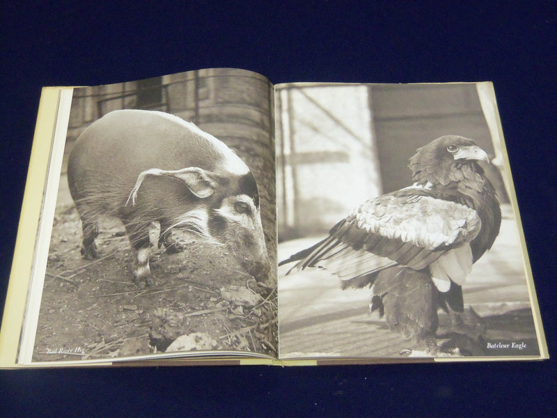 1964 ANIMAL LANGUAGE BOOK B JULIAN HUXLEY + RECORD BY LUDWIG KOCH - KD 3486H