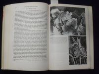 1959 EINE WELT - GESCHICHTE DES HERZENS HARDCOVER BOOK - MORUS- GERMAN - KD 9013