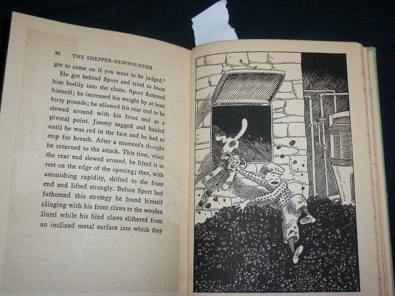 1931 THE SHEPPER-NEWFOUNDER HARDCOVER BOOK BY STEWART EDWARD WHITE - KD 6608