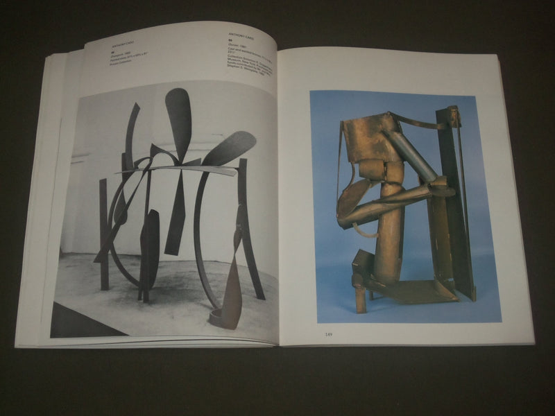 1985 TRANSFORMATIONS IN SCULPTURE SOFTCOVER BOOK - GREAT PHOTOS - I 1492