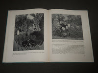 1942 HENRI ROUSSEAU BY DANIEL CATTON RICH HARDCOVER BOOK - KD 4377