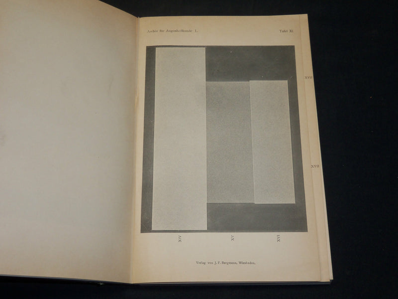 1894-1907 ARCHIV FUR AUGENHEILKUNDE KNAPP SCHWEIGGER VOLUME LOT OF 28 - R 372