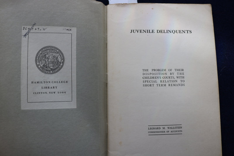 1915 JUVENILE DELINQUENTS SOFTCOVER BOOK BY LEONARD WALLSTEIN - K 862