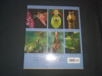 1996 MICROCOSMOS - THE VISTIBLE WORLD OF INSECTS HARDCOVER BOOK BY - R 736P
