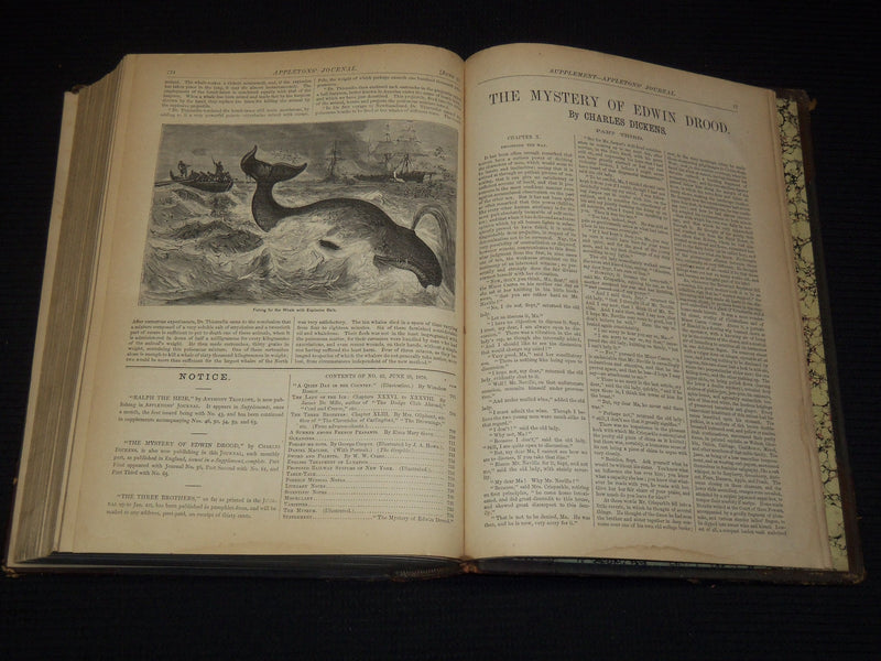 1870 JAN-JUNE APPLETON'S JOURNAL BOUND VOLUME NO. 3 - ILLUSTRATIONS - KD 7462H