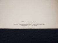 1944 JANUARY FIGHTING SHIPS AND FIGHTING MEN BOOK - NAVPERS 16104 - K 168