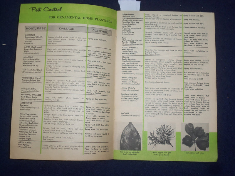 1960 PEST CONTROL SOFTCOVER BOOK BY CYNTHIA WESTCOTT - J 9759