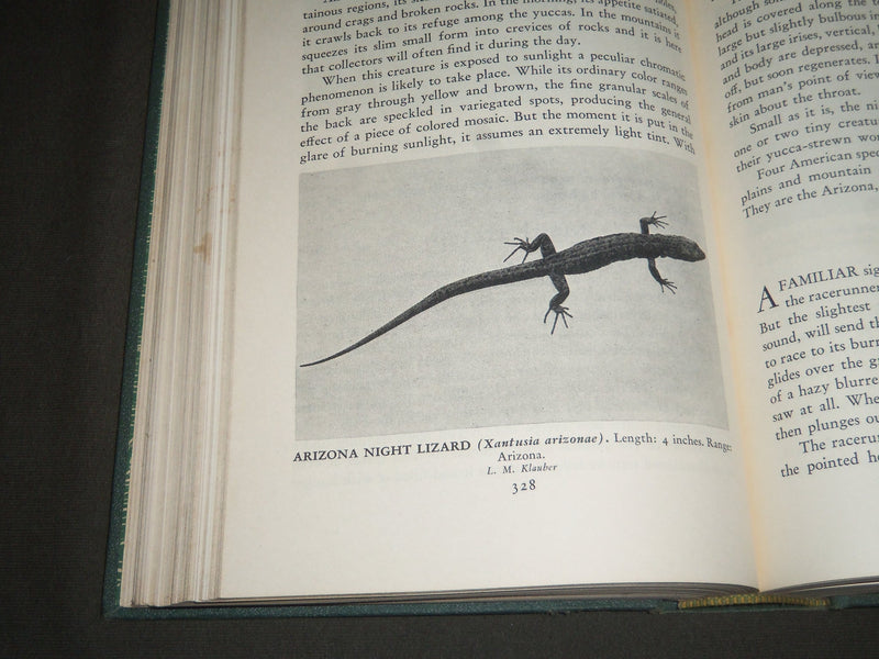 1940 AMERICAN WILD LIFE ILLUSTRATED PHOTOGRAPH BY AUSTIN BAYLITTS BOOK - KD 4233