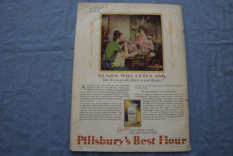 1928 NOVEMBER WOMAN'S WORLD MAGAZINE - ILLUSTRATIONS/STORIES/ADS - SP 4783T