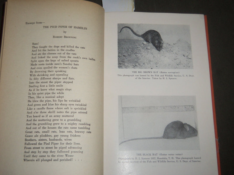 1948 VANDALS OF THE NIGHT BY J. LAURENS NICHOLES BOOK - RATS - KD 4508