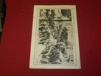 1915 JULY 29 NY TIMES PICTORIAL SECTION - RED CROSS NURSE AID HOSPITAL - NP 3964