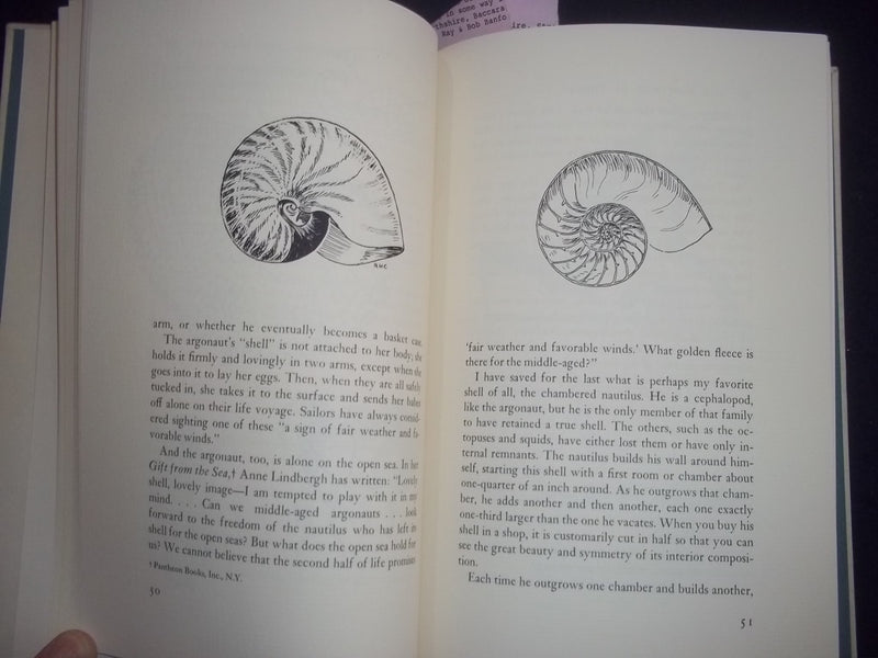 1962 THE ROMANCE OF SHELLS HARDCOVER BOOK-20 OF 400 - L. TRAVERS SIGNED -KD 8150
