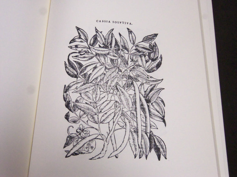 1976 I RIMEDI BY ALDO BERTOLUZZA ITALIAN BOOK - NICE ILLUSTRATIONS - KD 2062F