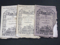 1865 PETERSON'S LADIES NATIONAL MAGAZINE LOT OF 3 - GREAT PATTERNS - WR 591H