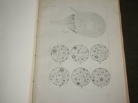 1915 ELECTRIC MOTOR NERVE CELL IN TORPEDOES BOOK BY ULRIC DAHLGREN - J 7115