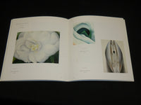 1991 SIX AMERICAN MODERNISTS SOFTCOVER BOOK - HIRSCHL & ADLER GALLERIES - J 6955