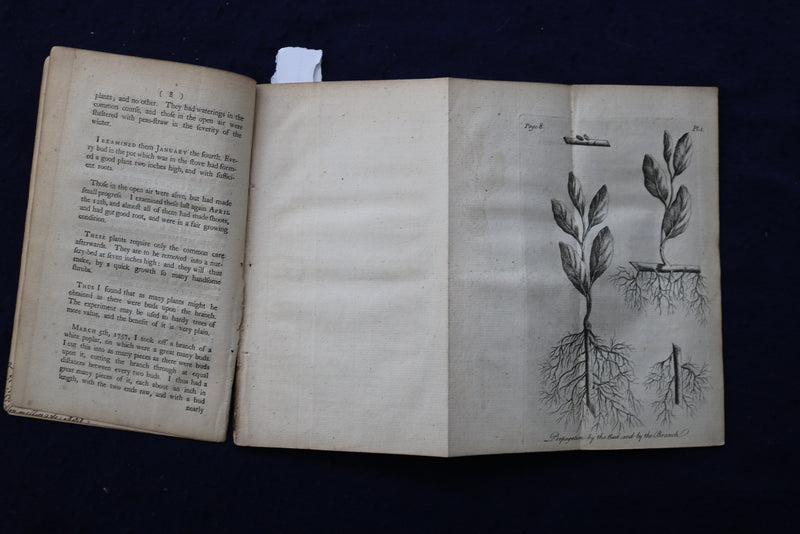 1911 A NEW METHOLD OF PROPAGATING FRUIT TREES & SHRUBS - THOMAS BARNES - K 1311