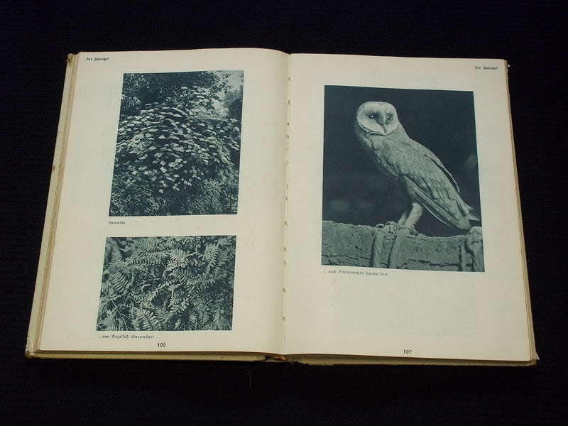 1911 MUMMELMANN GERMAN HARDCOVER BOOK BY HERMANN LONS - KD 7595