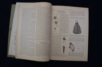 1892 JANUARY GOOD HOUSEKEEPING MAGAZINE - ILLUSTRATED COVER & STORIES - E 11730