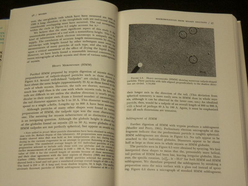 1964 BIOCHEMISTRY OF MUSCLE CONTRACTION BOOK BY JOHN GERGELY - KD 6059