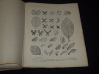 1877-1903 KONGLIGA SVENSKA SWEDISH VETENSKAPSAKADEMIENS VOLUMES LOT OF 8
