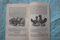 1904-1907 U.S. DEPT OF AGRICULTURE BULLETINS - LOT OF 3 - SOFTCOVER - K 3254