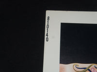 1981 TATTOO 1/2 SHEET MOVIE POSTER - BRUCE DERN, MAUDE ADAMS - P 287