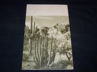 1964 ORGAN PIPE CACTUS NATIONAL MONUMENT BOOK - ARIZONA - J 8978
