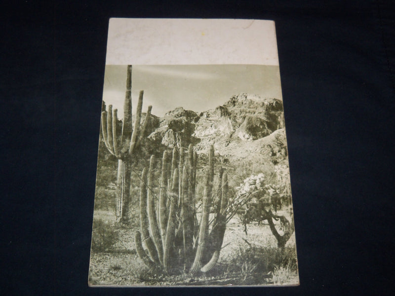 1964 ORGAN PIPE CACTUS NATIONAL MONUMENT BOOK - ARIZONA - J 8978