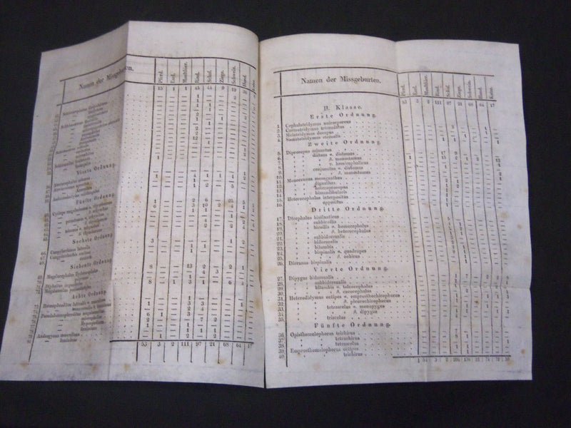 1832 LEHRBUCH PATHOLOGISCHEN ANATOMIE DER HAUS-SAUGETHIERE BOOK - KD 11