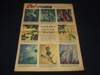 1954 SEPT 19 ALBUM OF STARS SECTION LOT OF 2 - DAHL - WEBB - FROMAN - NP 8987