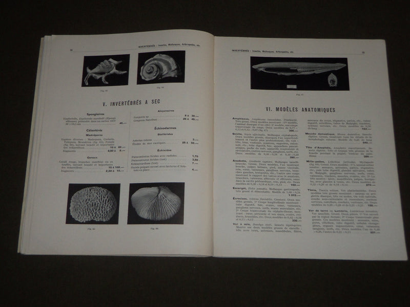 1961 N. BOUBEE & CIE. COLLECTIONS D'HISTOIRE NATURELLE FRENCH CATALOGUE - FR 507