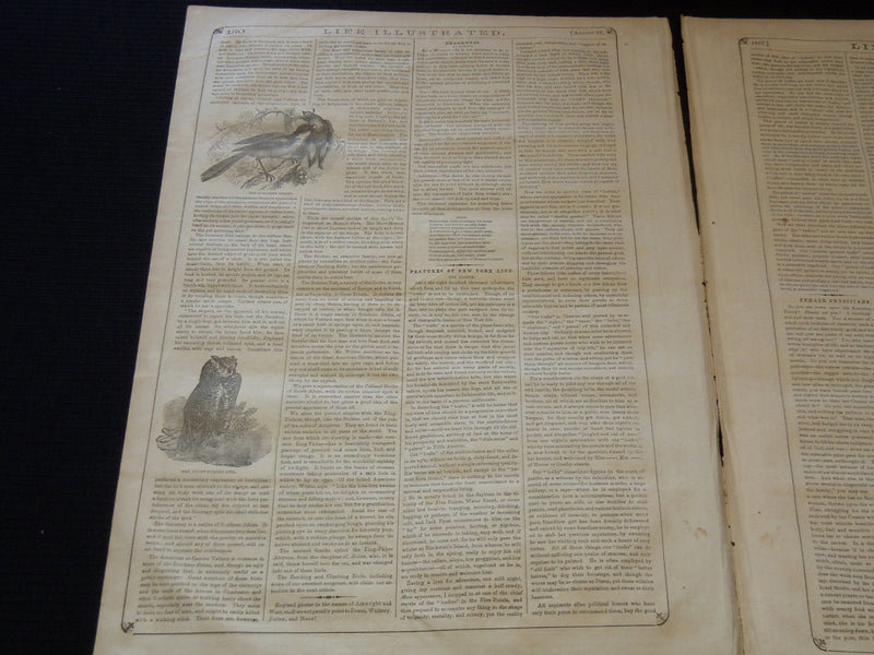 1857 AUGUST 22 LIFE ILLUSTRATED NEWSPAPER - BIRD NOTES - SUBMARINE - NP 5920