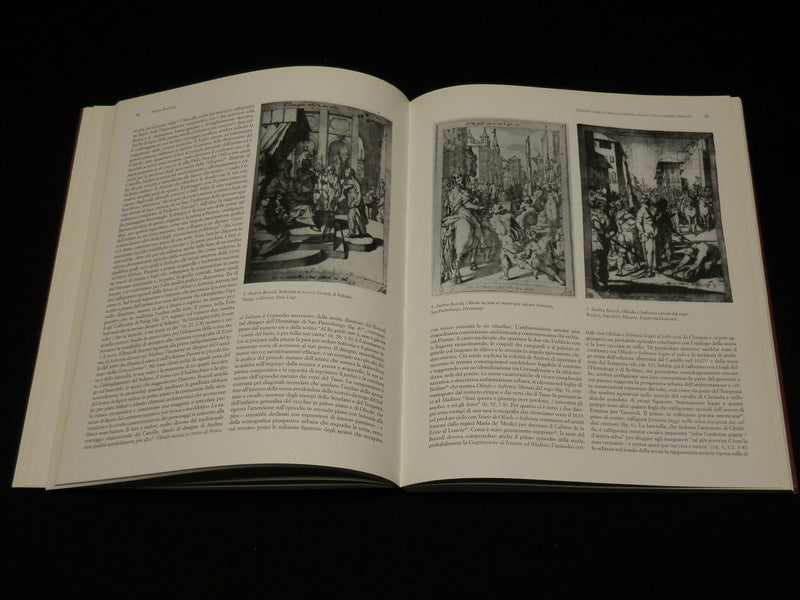 2001 L'ARME E GLI AMORI SOFTCOVER BOOK - ITALIAN - NICE PRINTS - R 717A