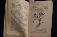 1887 THE ILLUSTRATED STRAWBERRY CULTURIST SOFTCOVER BOOK - ANDREW FULLER- K 1357