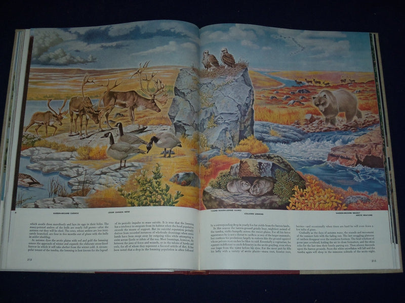 1955 THE WORLD WE LIVE IN BOOK BY TIME INC. - NICE COLOR FOLD OUTS - KD 2206