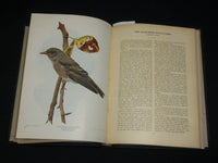 1901 BIRDS AND NATURE IN NATURAL COLORS VOLUME 10 BY WILLIAM HIGLEY - KD 7512