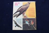 1967-1970 LOOK AND LEARN - RANGER MAGAZINE - LOT OF 13 - O 3545
