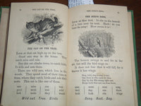 1800'S THE PICTURE PRIMER BOOK - NEW YORK - THOMAS NELSON & SONS - K 2020