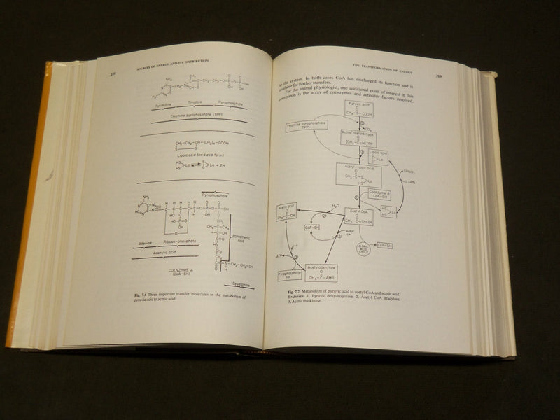 1952 LUMBAR DISC LESIONS HARDCOVER BOOK BY J. R. ARMSTRONG - KD 6145