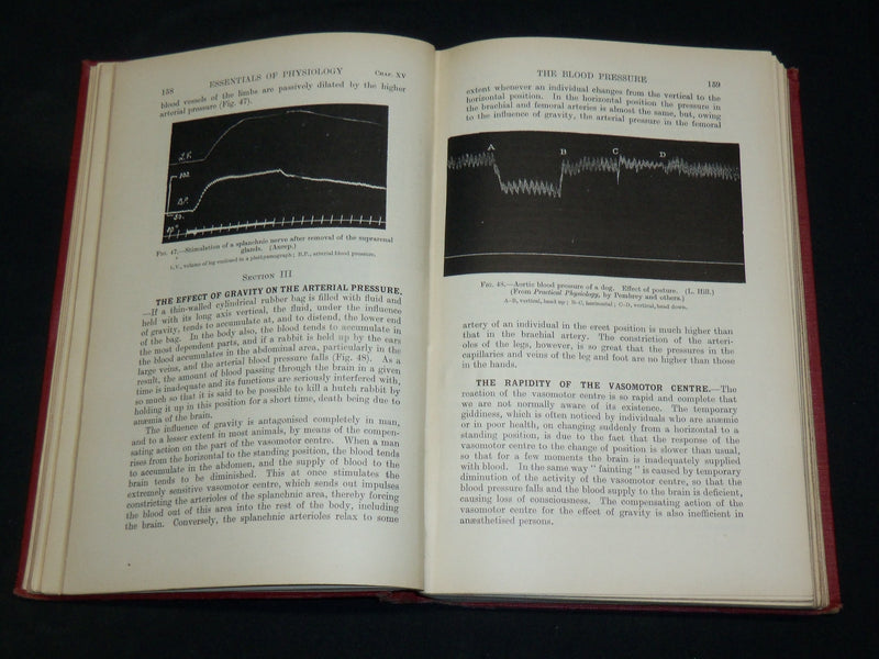 1931 ESSENTIALS OF PHYSIOLOGY BOOK BY BAINBRIDGE & MENZIES - 5TH EDN - KD 2761Y