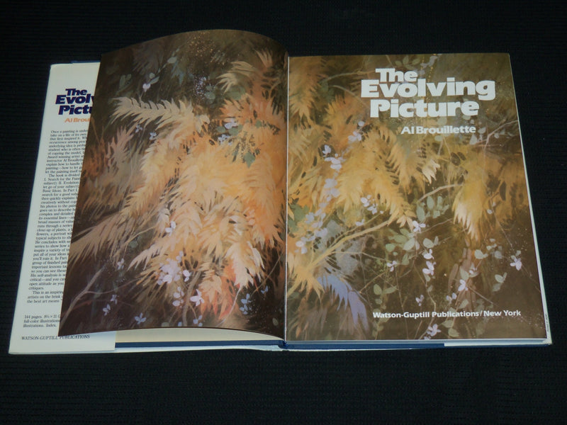 1987 THE EVOLVING PICTURE HARDCOVER BOOK BY AL BROUILLETTE - R 728E
