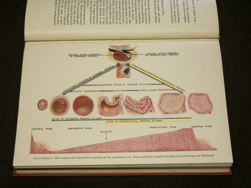 1939 ENDOCRINE GYNECOLOGY BOOK BY E. C. HAMBLEN, M. D. - KD 6134