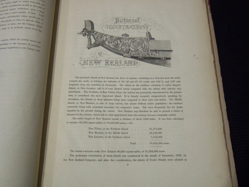 1847 PICTORIAL ILLUSTRATIONS OF NEW ZEALAND VOLUME - S. C. BREES - Z 246