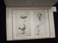 1900'S THE TEACHER OF FIGURE PAINTING BY D. M. CAMPANA - J 8456