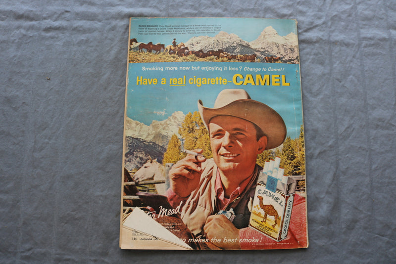 1962 NOVEMBER OUTDOOR LIFE MAGAZINE - ART OF HUNTING MULE DEER COVER - SP 6183M