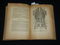 1938 EUGENICS AND SEX HARMONY HARDCOVER BOOK BY HERMAN RUBIN - KD 7522